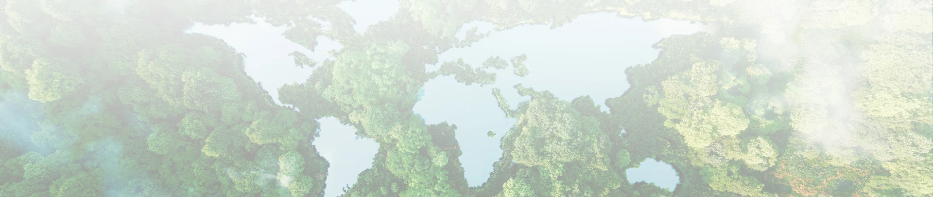 mapa świata na tle lasu Baner
