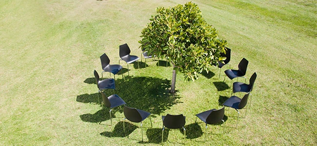 krzesła dookoła drzewa